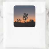 サンセットジョシュアの木 スクエアシール (バッグ)