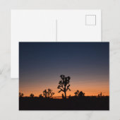 サンセットジョシュアの木 ポストカード (正面/裏面)