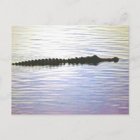 サンセットスイムはがき ポストカード (正面)