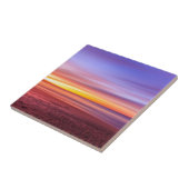 サンセットスカイオーバービーチ&シー タイル (側面)