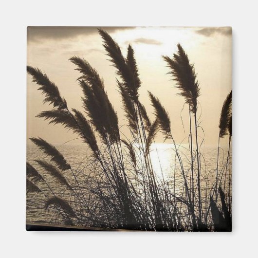 サンセットスクエアマグネット マグネット (正面)