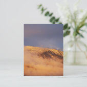 サンセットスノー山ボコン ポストカード (スタンド正面)