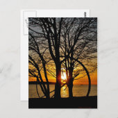サンセットスルー・アート ポストカード (正面/裏面)