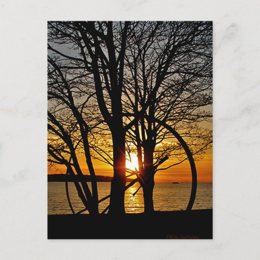 サンセットスルー・アート ポストカード (正面)