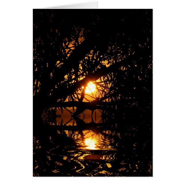 サンセットダークネスカード (正面)