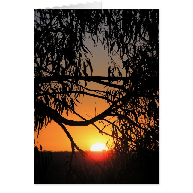 サンセットダークネスカード (正面)