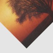 サンセットツリーデコページティッシュペーパー 薄葉紙 (詳細)