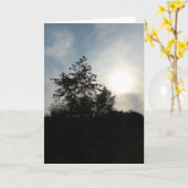 サンセットツリー カード (黄色い花)