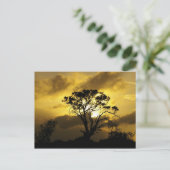 サンセットツリー ポストカード (スタンド正面)