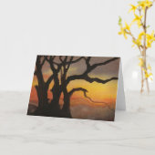 "サンセットツリー#5"国道グリーティングカード カード (黄色い花)