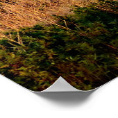 サンセットディーゼル機関車32"x24" ポスター (角)