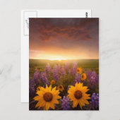 サンセットデイジー ポストカード (正面/裏面)