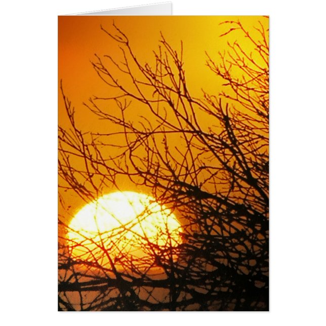 サンセットデリートカード (正面)