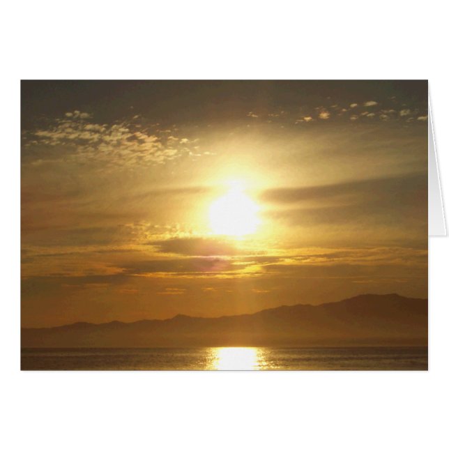 サンセットドリーム_ (正面横)