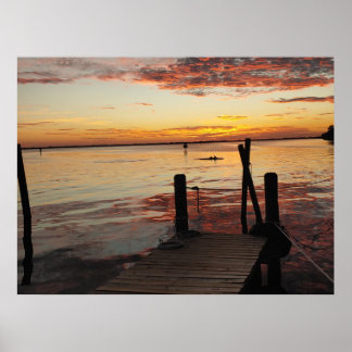 サンセットドルフィンズ ポスター