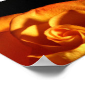 サンセットバラ美しい自然写真 ポスター (角)