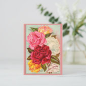 サンセットバラ ポストカード (スタンド正面)