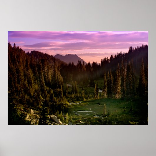 サンセットバレー ポスター (正面)