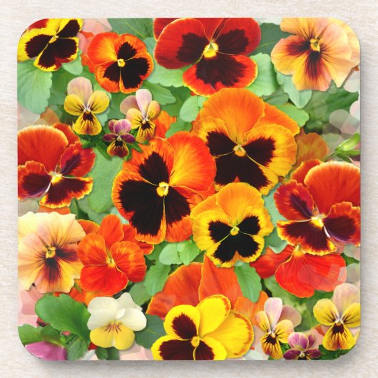 サンセットパンジー コースター (正面)
