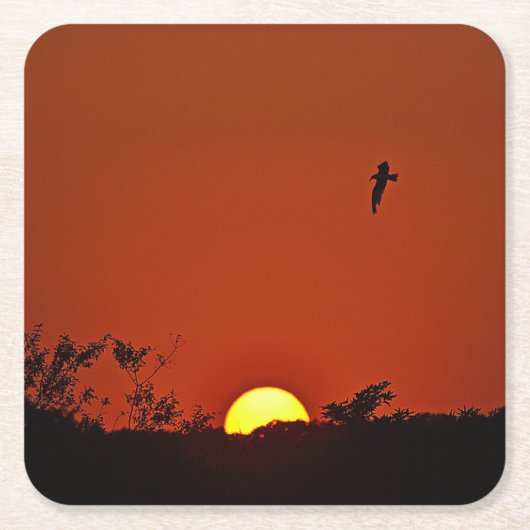サンセットパーティーコースター スクエアペーパーコースター (正面)