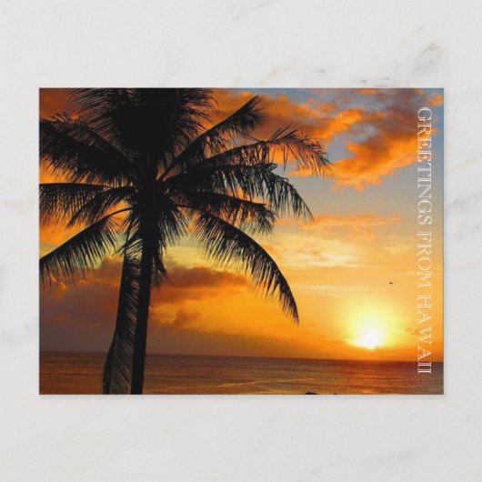 サンセットパームの挨拶 ポストカード (正面)