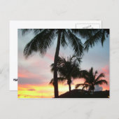 サンセットパームズトロピカルランドスケープ写真 ポストカード (正面/裏面)