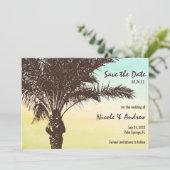 サンセットパームツリー Save the Date 発表 セーブザデート (スタンド正面)