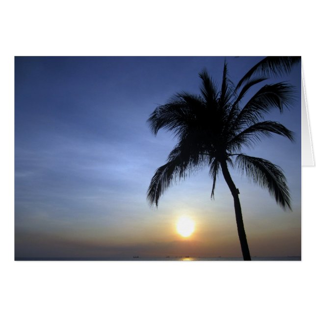 サンセットパーム (正面横)