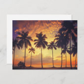 サンセットパーム ポストカード (正面/裏面)