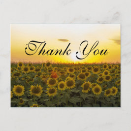 サンセットヒマワリサンキューカード ポストカード