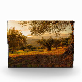 サンセットヒルズオータムツリーズ フォトブロック