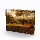 サンセットヒルズオータムツリーズ フォトブロック (右)