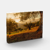 サンセットヒルズオータムツリーズ フォトブロック (左)