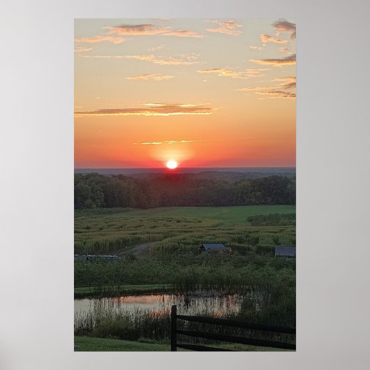 サンセットビスタ ポスター (正面)