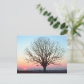 サンセットビュー ポストカード (スタンド正面)