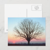 サンセットビュー ポストカード (正面/裏面)