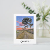 サンセットフランスのコルシカ鉄道 ポストカード (スタンド正面)