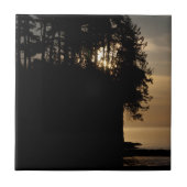 サンセットブラフ タイル (正面)