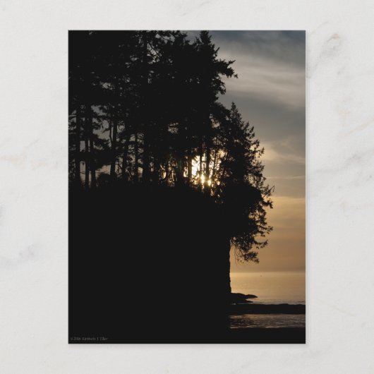 サンセットブラフ ポストカード (正面)