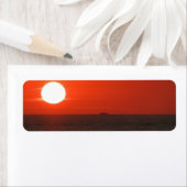 サンセットブーズクルーズ ラベル (インサイチュ)