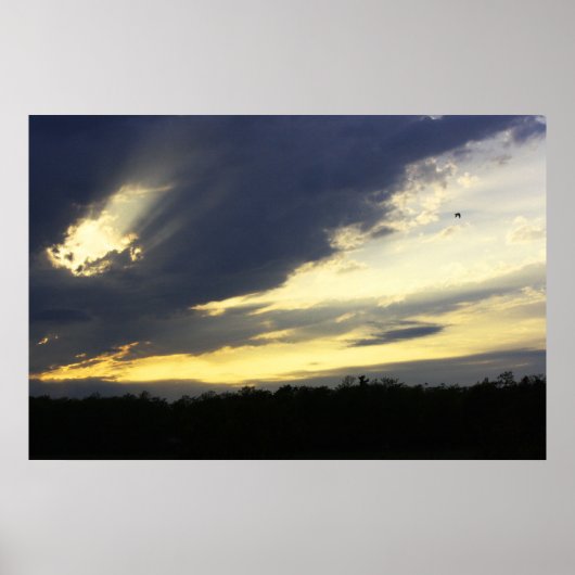 サンセットプリント ポスター (正面)