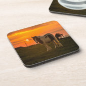 サンセットホース コースター (左側)