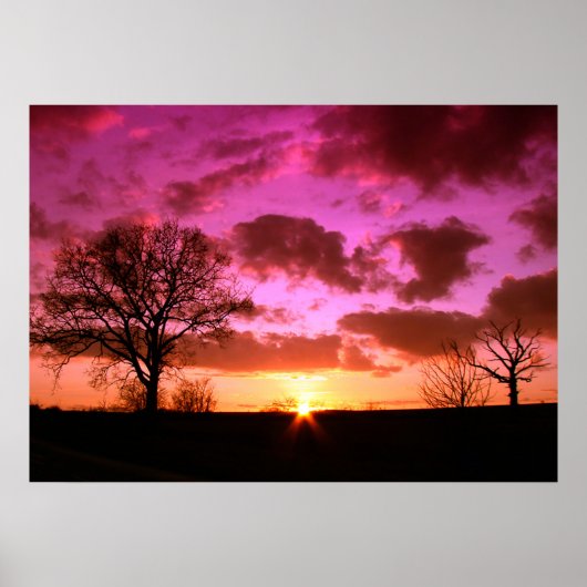 サンセットポスター ポスター (正面)