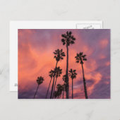 サンセットポストカードにヤシの木 ポストカード (正面/裏面)