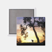 サンセットマグネットに美しい馬 マグネット (正面/裏面)