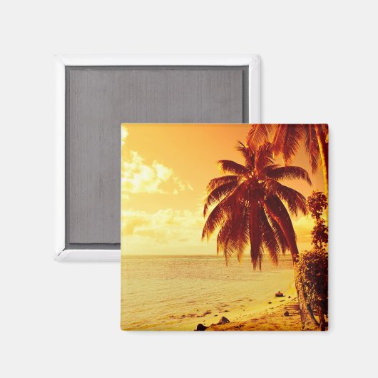 サンセットマグネットのビーチで熱帯のヤシの木 マグネット (正面/裏面)