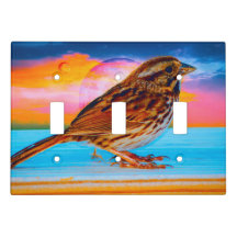 サンセットメロディ