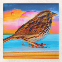 サンセットメロディ