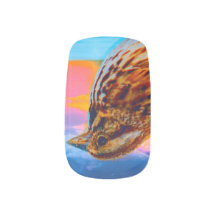 サンセットメロディ