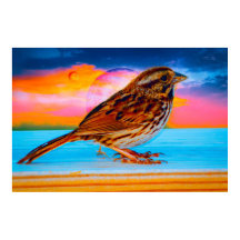 サンセットメロディ